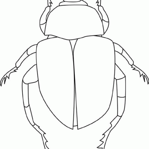scarabee-de-scarabee